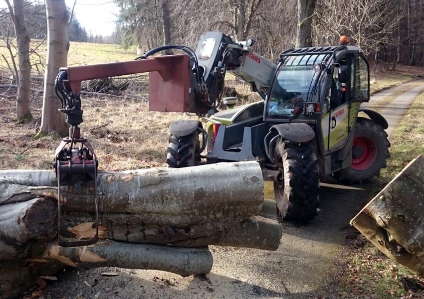 tree surgery